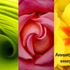 aromatherapy and essential oils