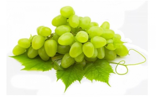 sour grape berries