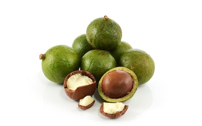 macadamia oil